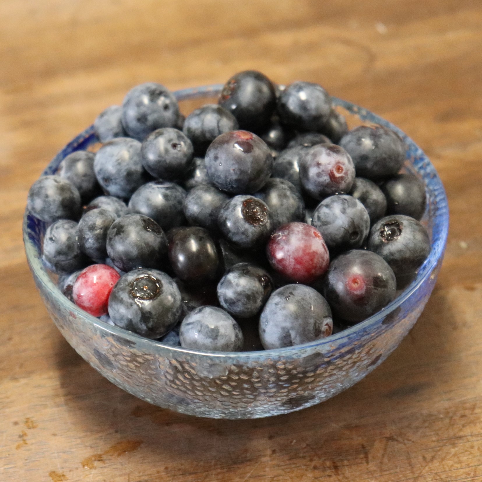 楽天市場】ブルーベリー 『 ラビットアイ系 2品種 植え 』 8号スリット