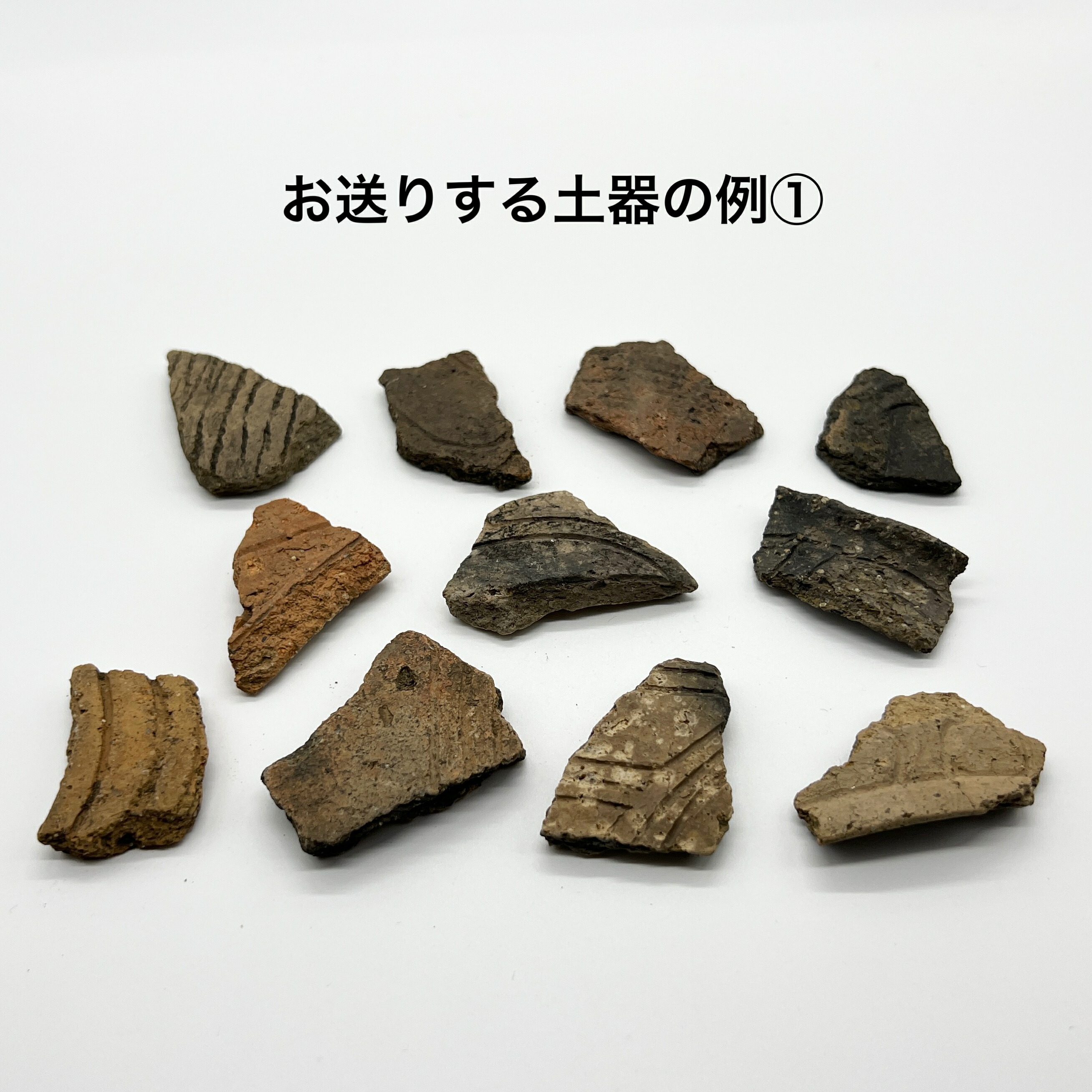 楽天市場】【送料無料】つくしサイエンス 縄文土器 破片 本物 青森産