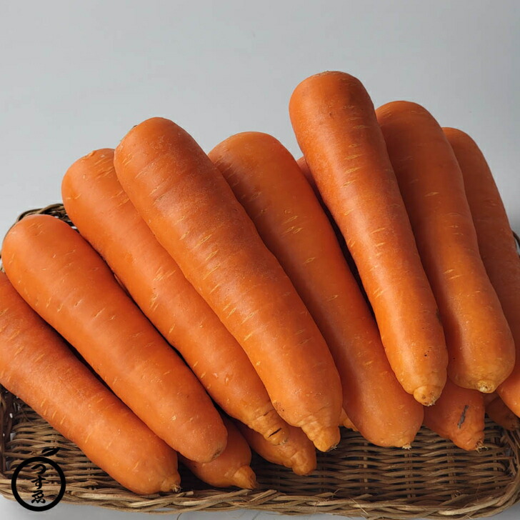 楽天市場】【じゃがいも・たまねぎ・にんじん お野菜 3種セット 選べる