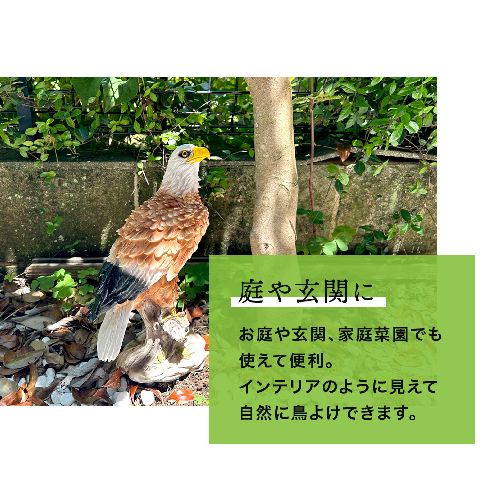 楽天市場】鳥獣駆除 鳥よけ 鷹 ミスターイーグル 鳥よけグッズ 鳥除け