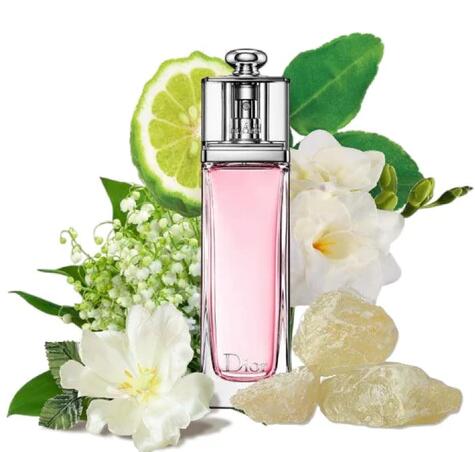 楽天市場】【送料無料】Dior クリスチャン ディオール アディクト オー