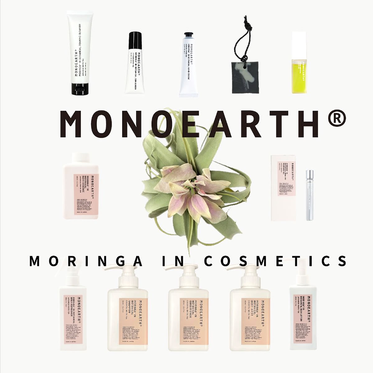 楽天市場】【モリンガ in スキンローション】モノアース MONOEARTH