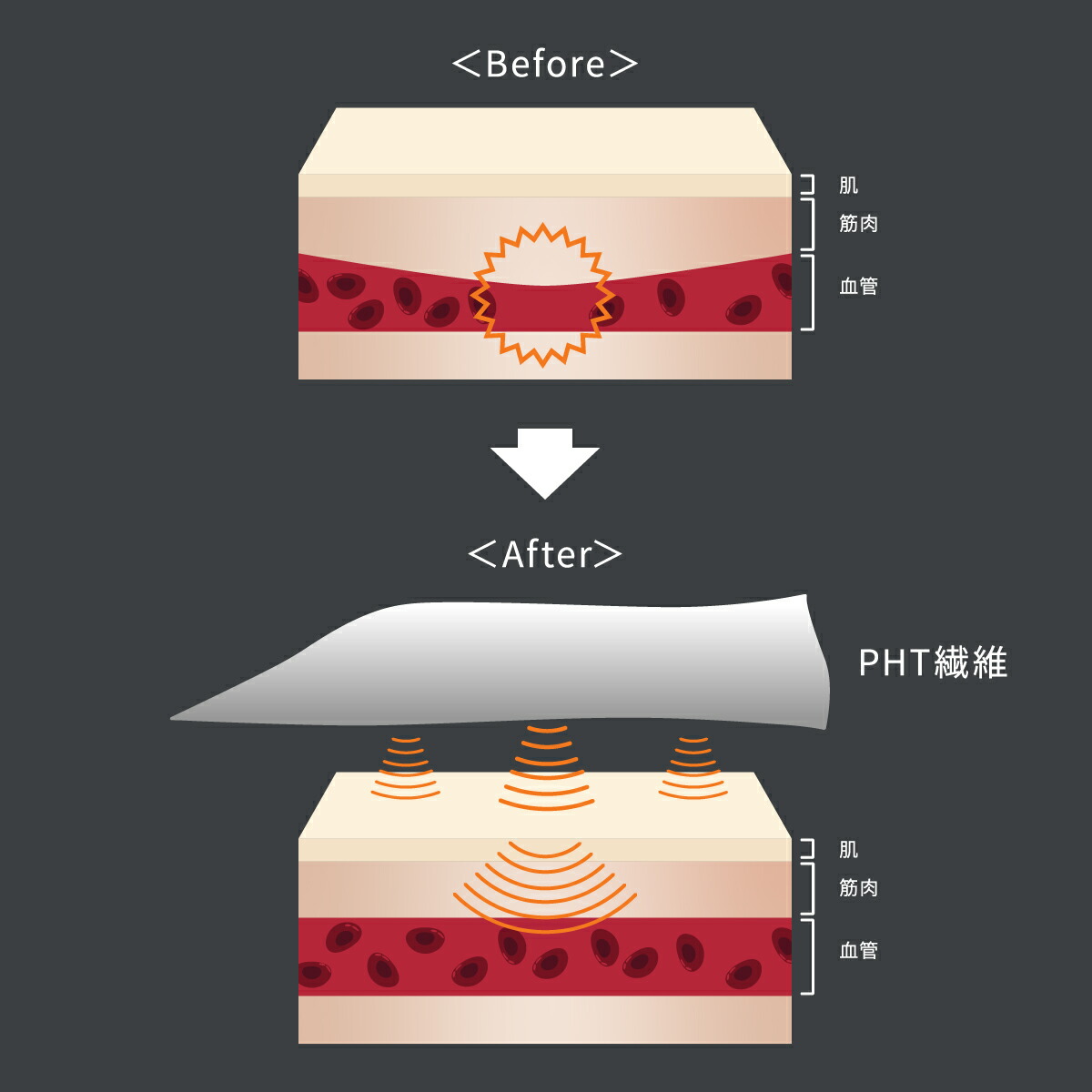 楽天市場】【ポイント10倍】【VENEX公式】 ベネクス アイマスク