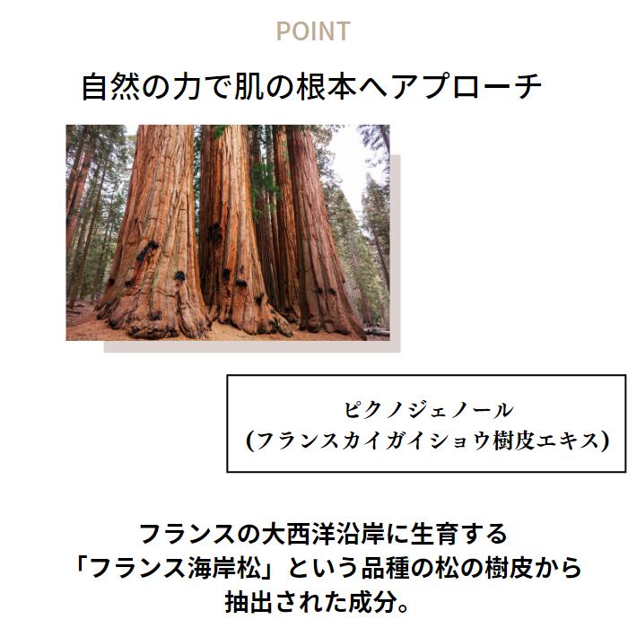 楽天市場】送料無料！【 リライヴクリーム 】送料無料 30g ベルリッチ