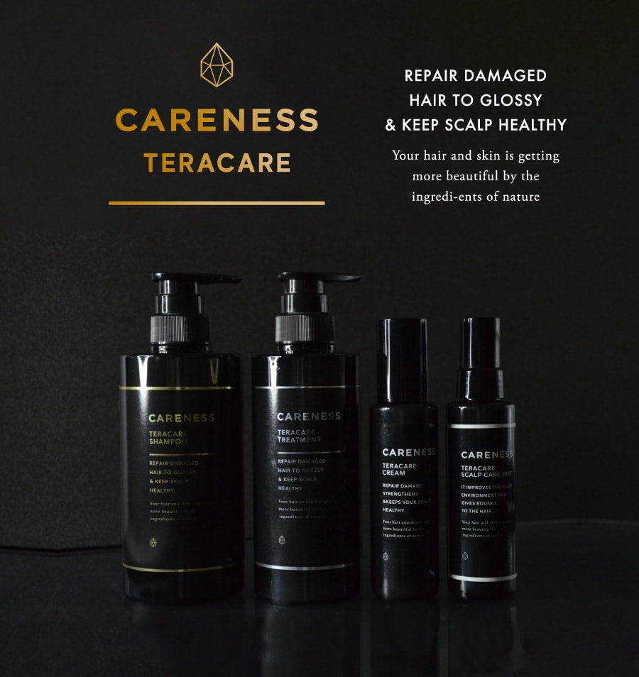 楽天市場】送料無料【 正規品 】テラケア シャンプー 1000ml ケアネス