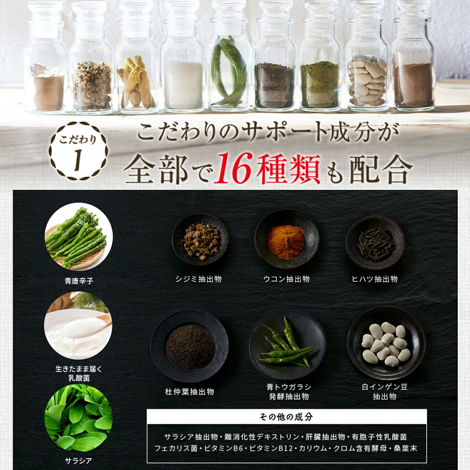 楽天市場】ターミナリアファースト ダイエットサポートサプリ 機能性