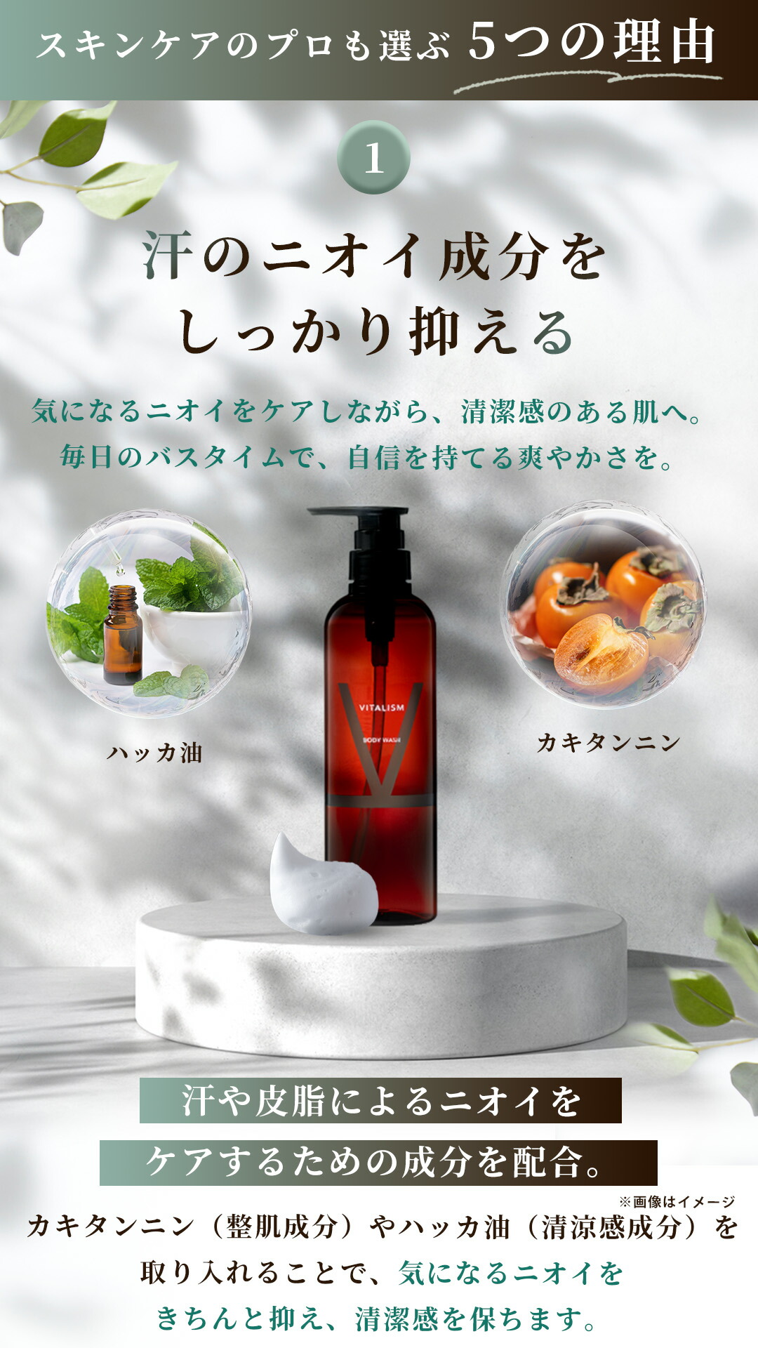 楽天市場】VITALISM ボディウォッシュ 500ml 男女兼用 肌荒れ 肌