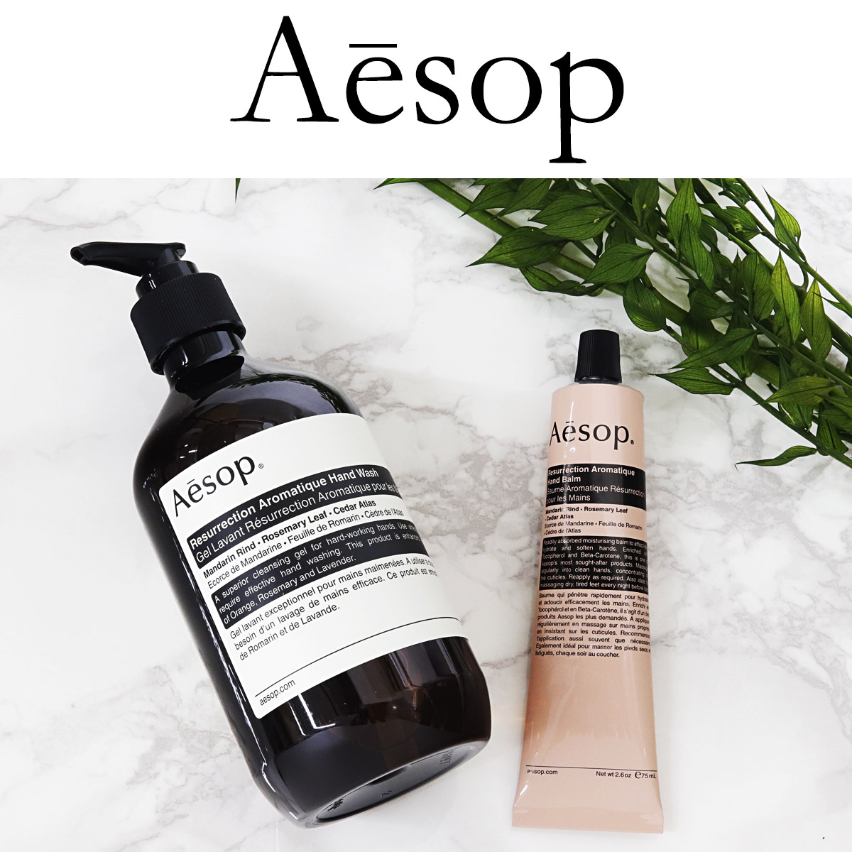 Aesop 抗菌ハンドソープ 2本セット イソップ ハンドクリーム ハンド