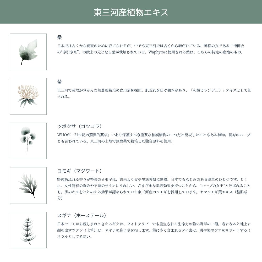 楽天市場】【公式】Waphyto レジェナ エンリッチドクリーム 50g