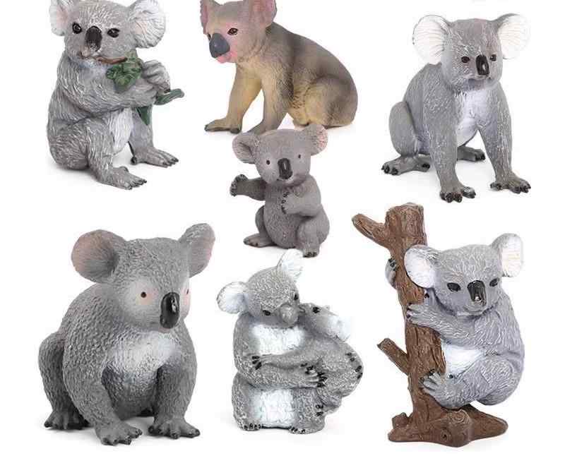 楽天市場】リアル 動物 フィギュア コアラ オーストラリア 野生 生き物