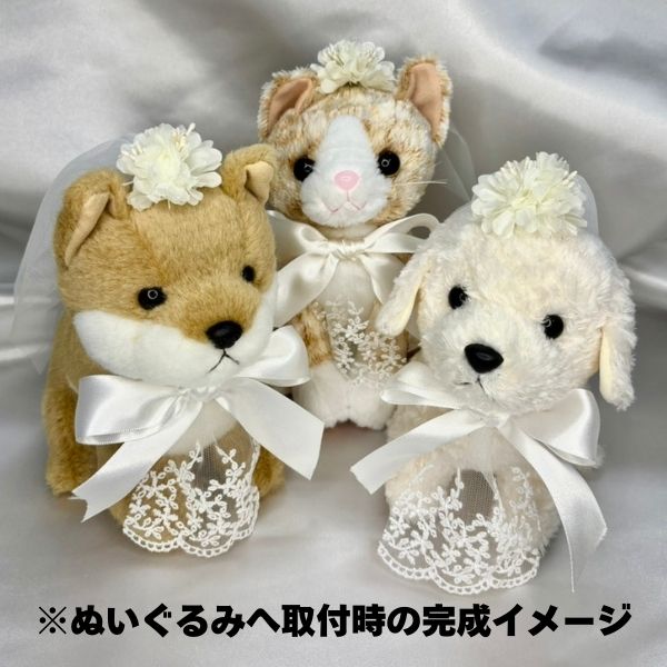 楽天市場】ぬいぐるみ用パーツセット ウェルカムドール キット リボン