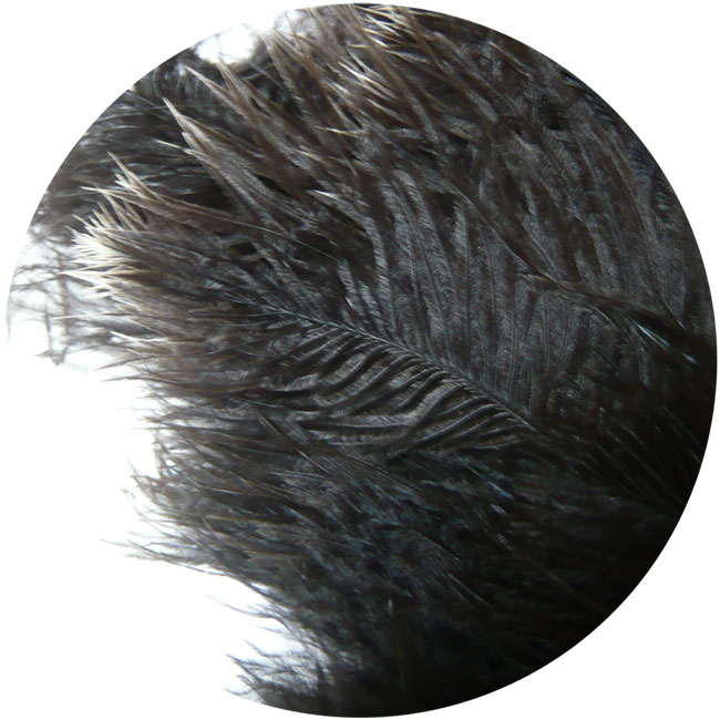 楽天市場】オーストリッチ使用！静電気除去機能付き毛ばたき『ダスト零