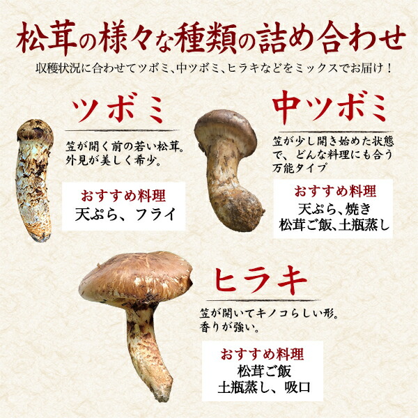 楽天市場】送料無料【 希少 天然国産 高野松茸 種類おまかせ 約200g