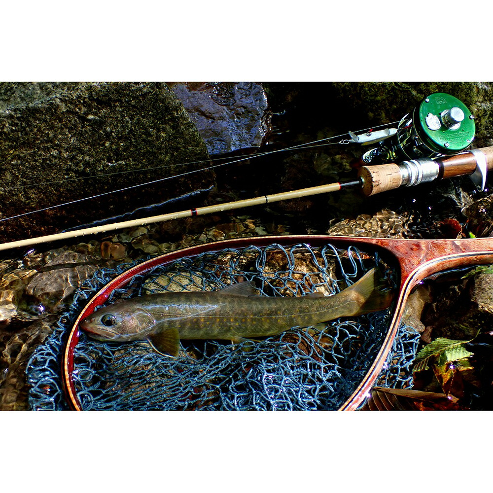 楽天市場】ライムカントリーアンドストリームス Malibu Classic MCB