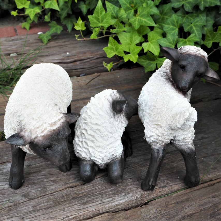 楽天市場】羊の置物 黒ひつじ3品セット 3763-0123 ひつじ
