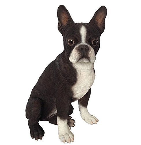 楽天市場】ボストンテリア（Boston Terrier） 犬の置物・オブジェ