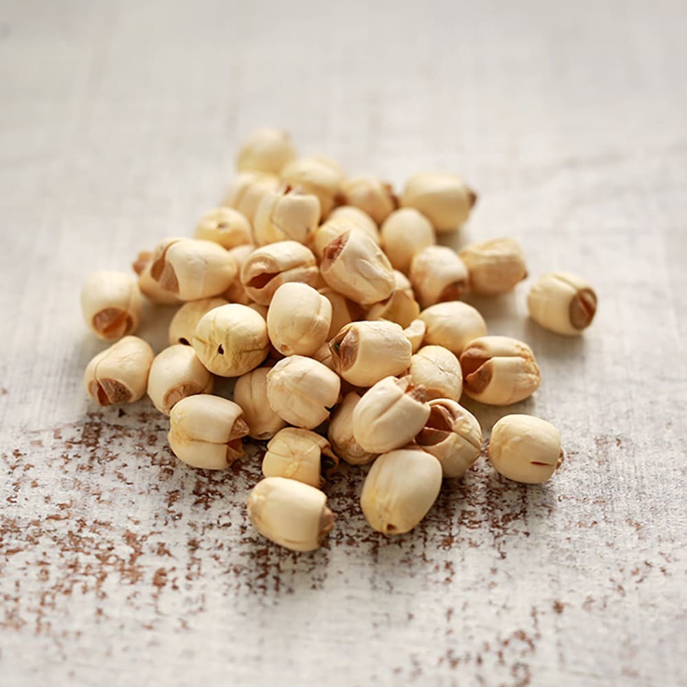 楽天市場】ハスの通販