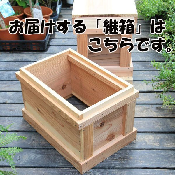 楽天市場】巣箱：石田式 ニホンミツバチ捕獲箱（兼飼育箱）【継ぎ箱