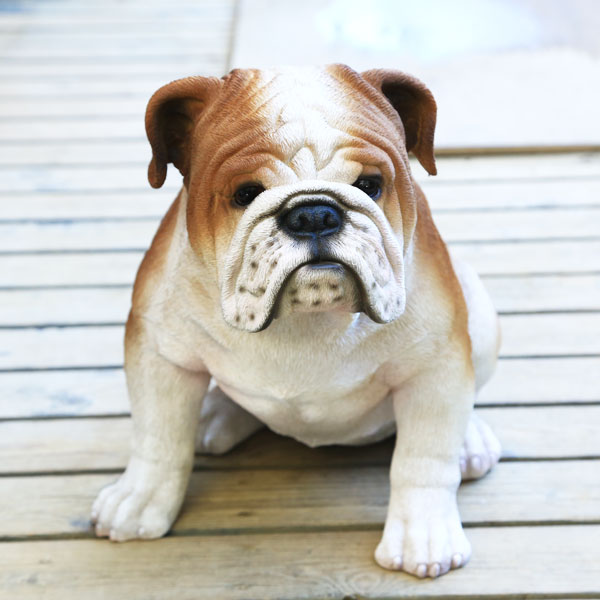 楽天市場】雑貨 置物・フィギュア：ブルドック*リアルサイズ : 遊恵
