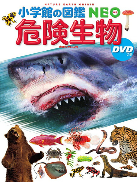 楽天市場】【収納BOX付・送料無料・条件有】小学館の図鑑NEO 危険生物