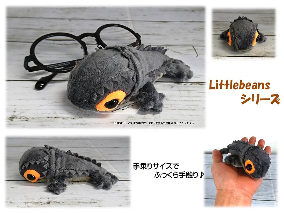 楽天市場】Little Beans アカメカブトトカゲ : YY SHOP