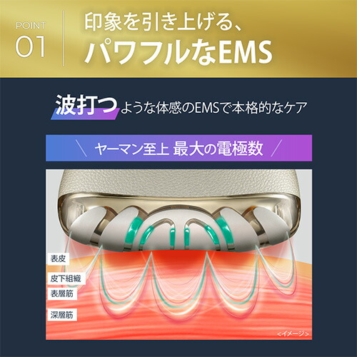 楽天市場】【P10倍☆3/3 10:00から3/11 1:59まで】美顔器【ヤーマン