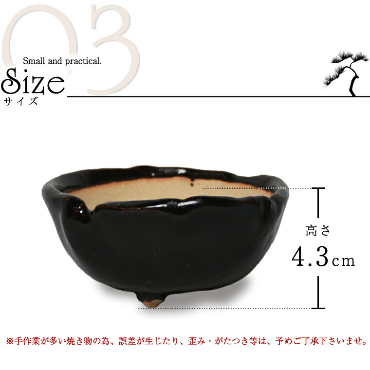 楽天市場】【38時間限定20%OFFクーポン配布中】信楽焼 植木鉢 浅型 足