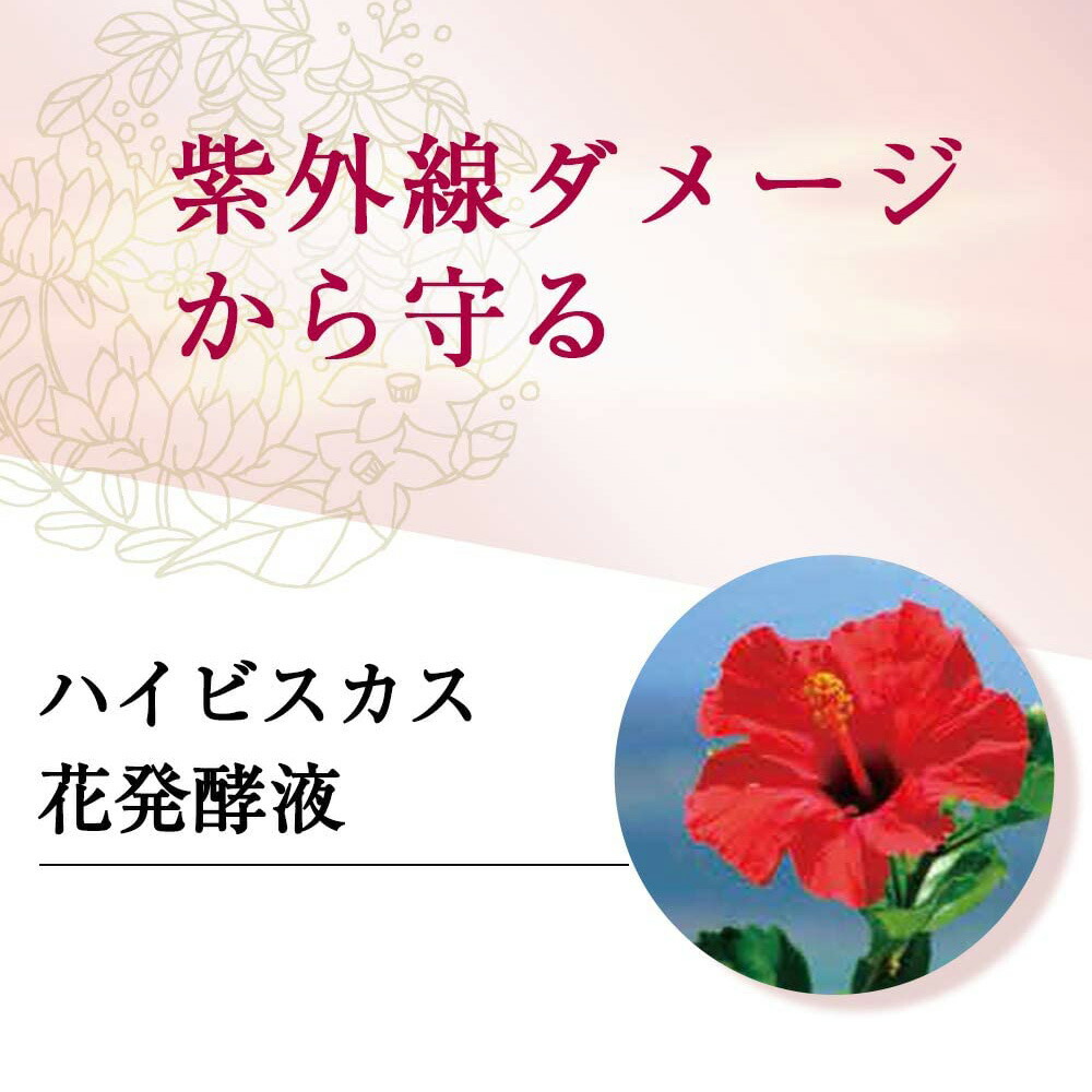楽天市場】【山田養蜂場】BEE MAKE パウダー ナチュラル ( おしろい +