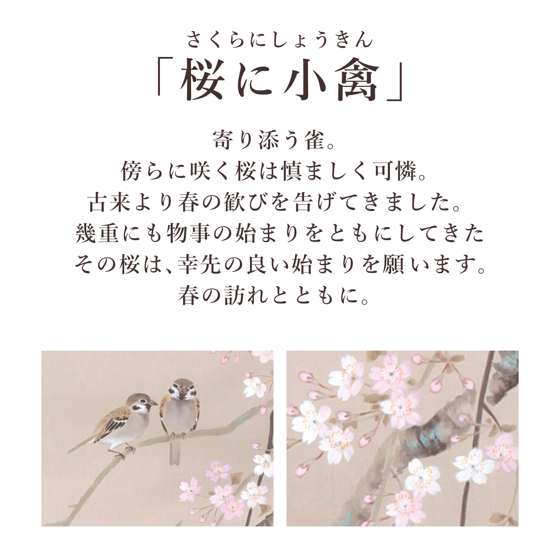 楽天市場】掛け軸「桜に小禽」 北条静香 尺五立 サイズ：54.5×190cm 桐