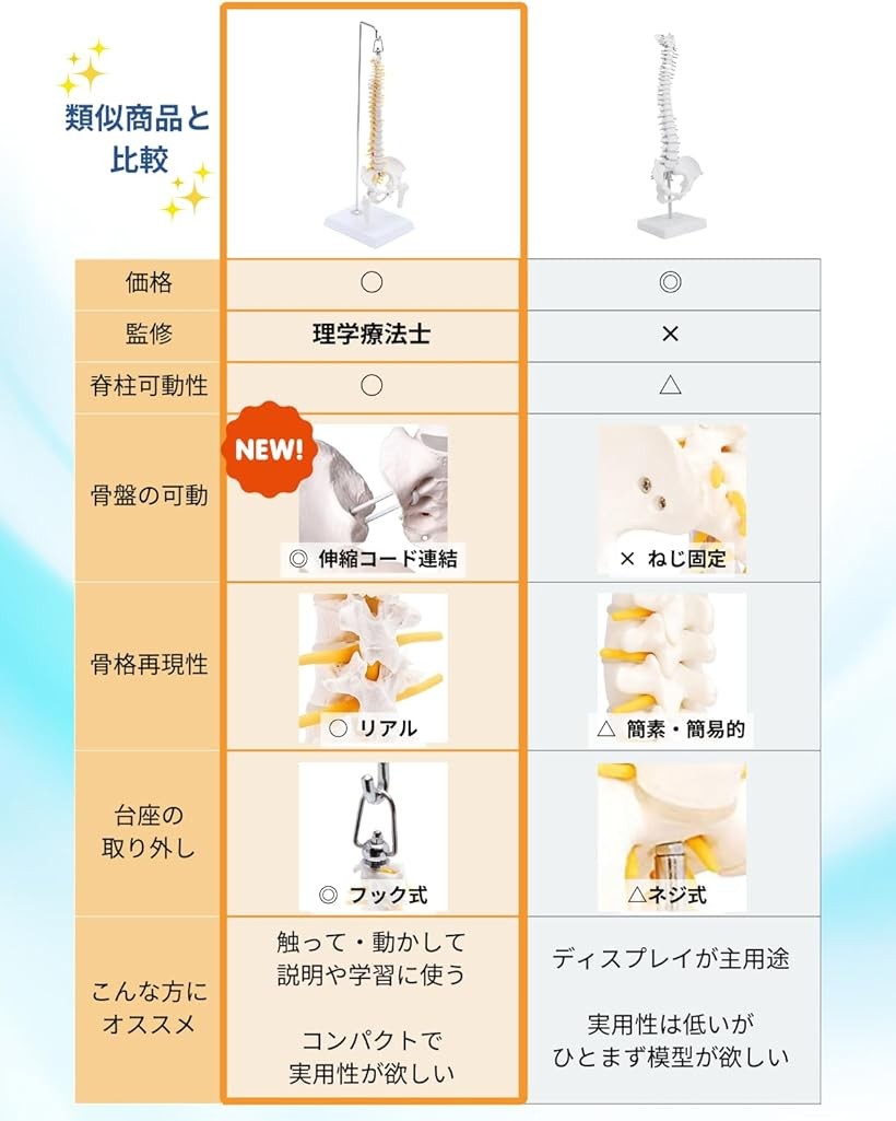 楽天市場】【楽天ランキング1位入賞】1/2サイズ 高精度 グニャと背骨を