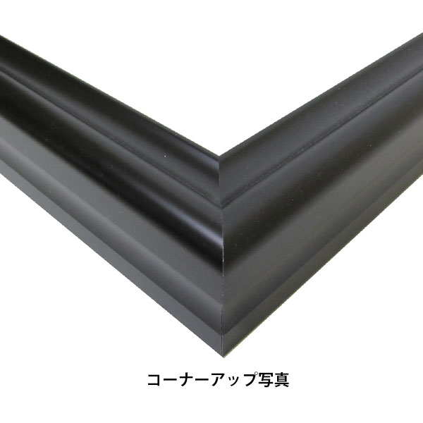 楽天市場】組立額縁【展示用額縁】50号サイズ(F50、P50、M50) オール50