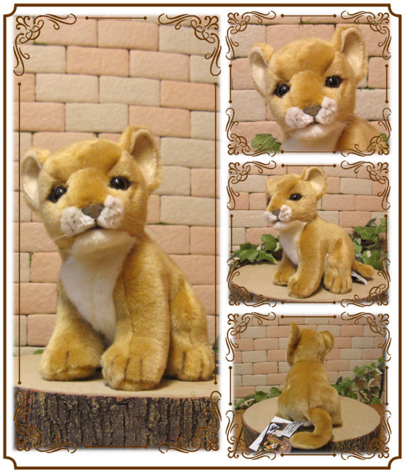 楽天市場】ライオンのぬいぐるみ 仔ライオン 子供 インテリア 動物