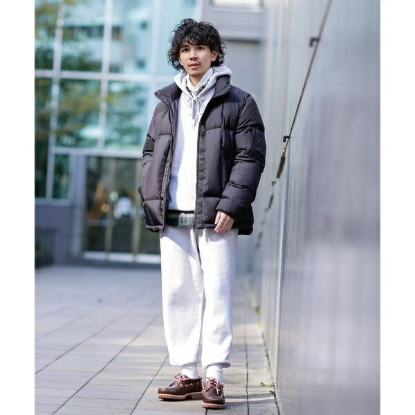 楽天市場】西川ダウン(R)[SHIELD] A1 ALPHA／ナノユニバース（NANO