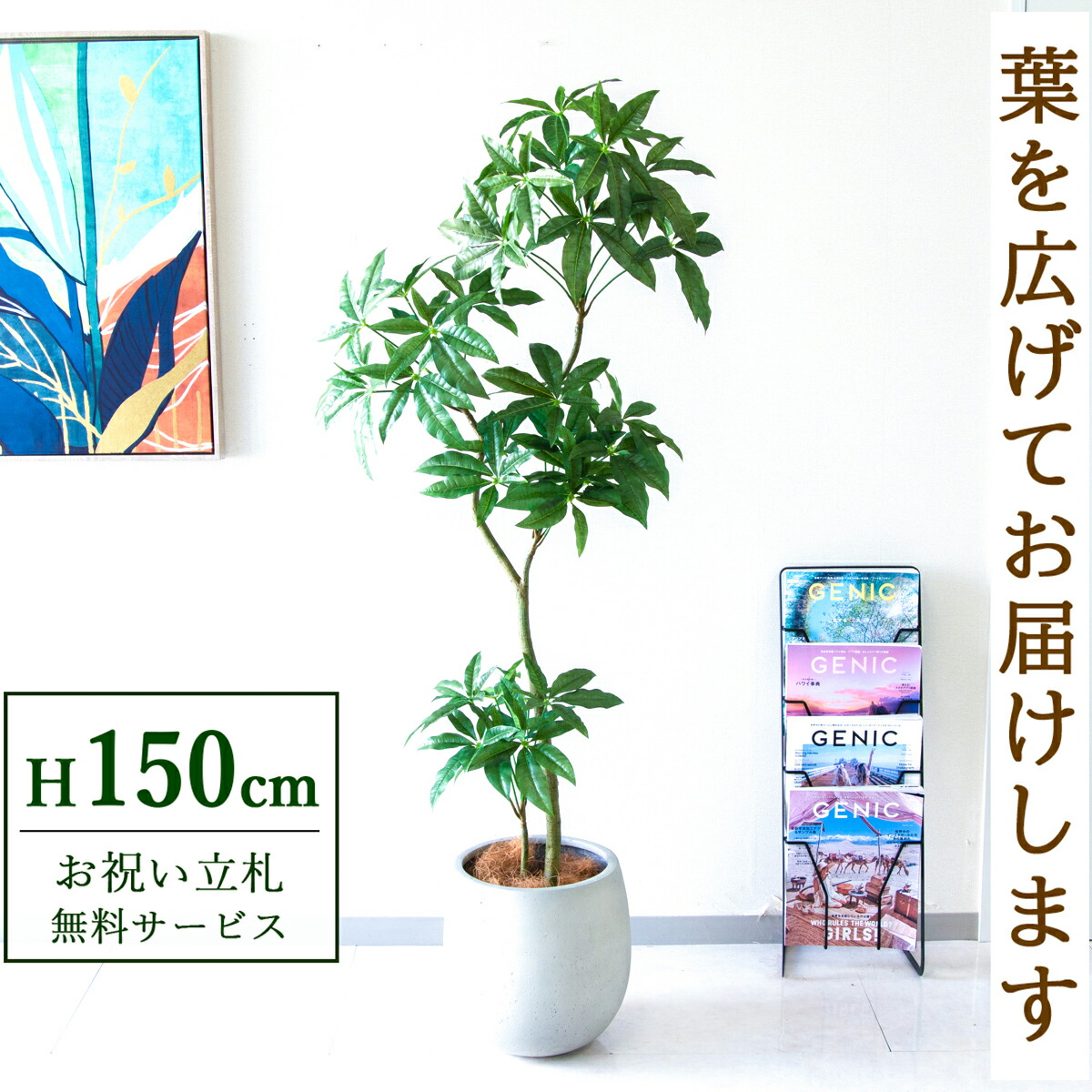 観葉植物 パキラ 造花 150cm」の人気商品一覧 | 安い商品を通販サイト