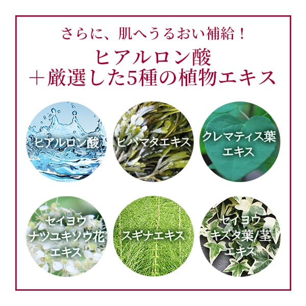 楽天市場】マッサージノイル 無香料 1L 5L 水溶性 マッサージオイル