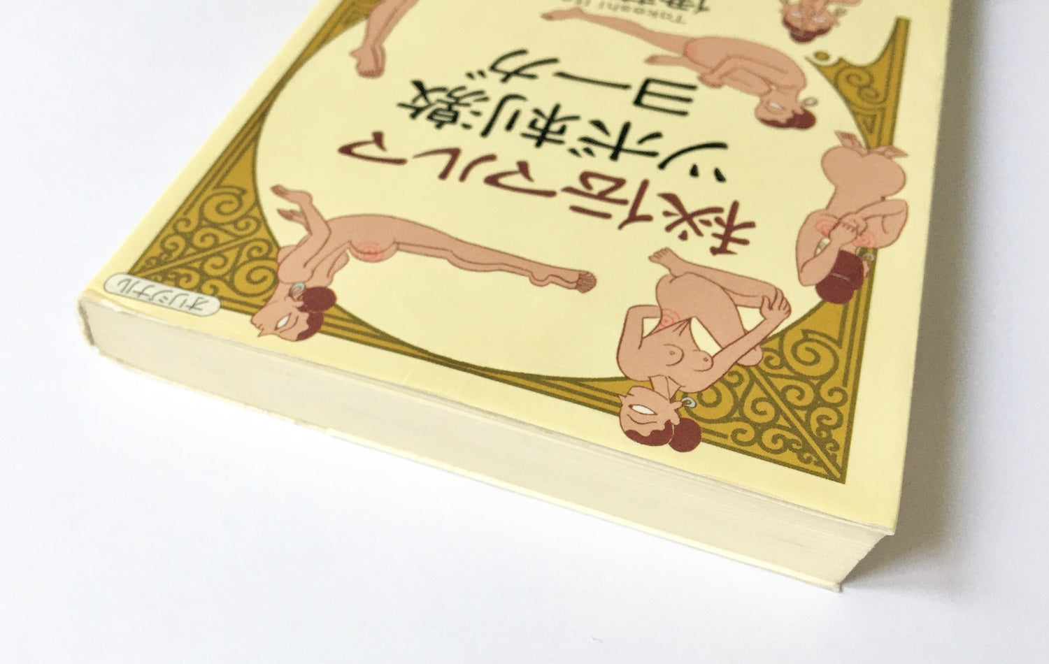 秘伝マルマ ツボ刺激ヨーガ – Tsubaki japanese bookstore