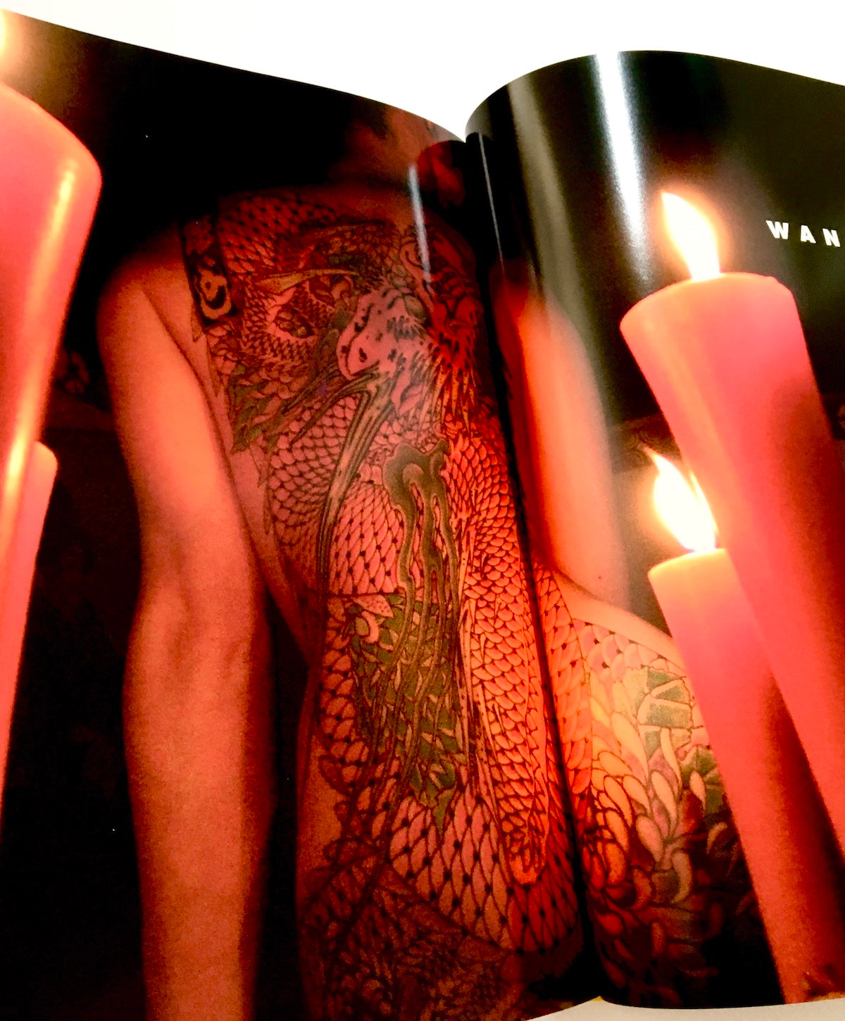 WANZAKURE（わんざくれ）THE ROAD TO SHISEI BY HORIYOSHI Ⅲ / 刺青