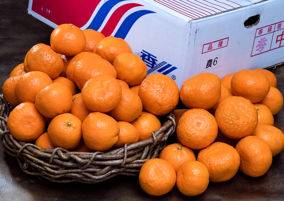 スーパー柑橘 農6（のうろく） キングみかん｜豊洲市場ドットコム