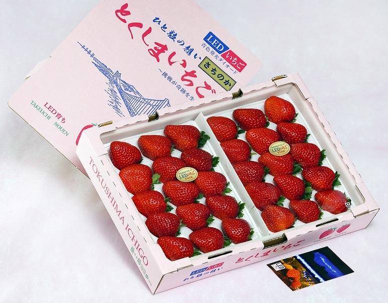 竹内農園 LEDいちご「とくしまいちご（品種 さちのか）」徳島県産 2