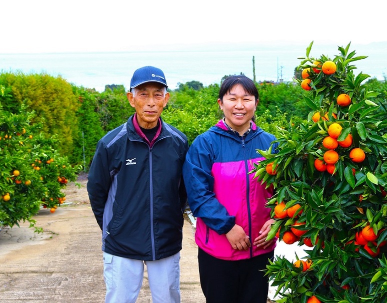 山口柑橘園の「クレメンティン」 佐賀県産 2S〜S 約2kg （目安：23〜30