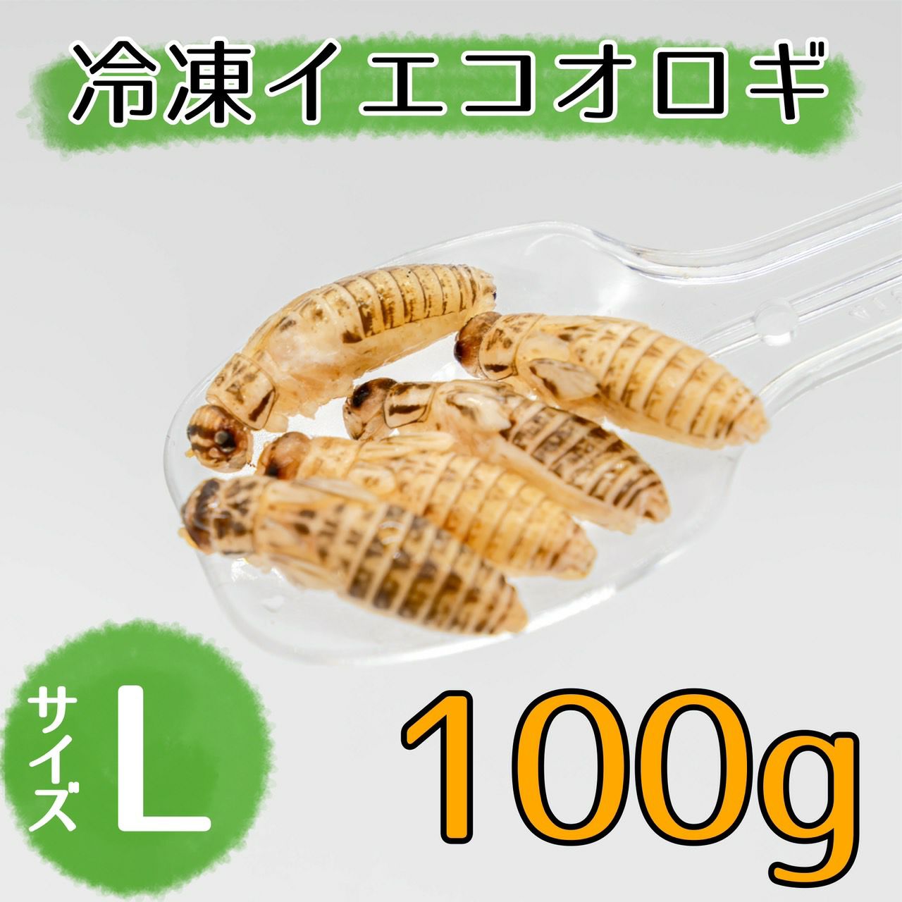 公式】月夜野ファーム オンラインストア コオロギ/爬虫類のエサ通販