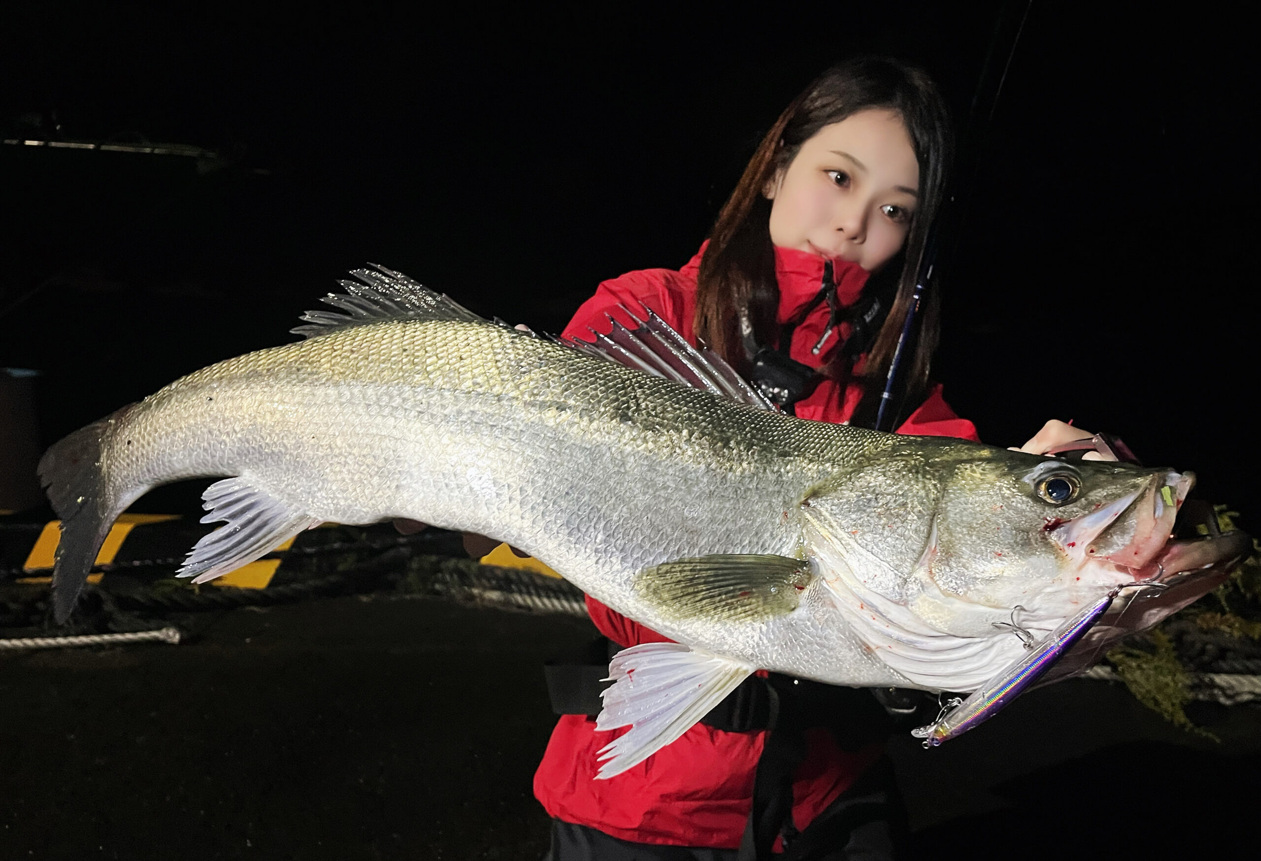 青森県】高活性！港内のサヨリ付き良型シーバスをキャッチ！！ | FUNC