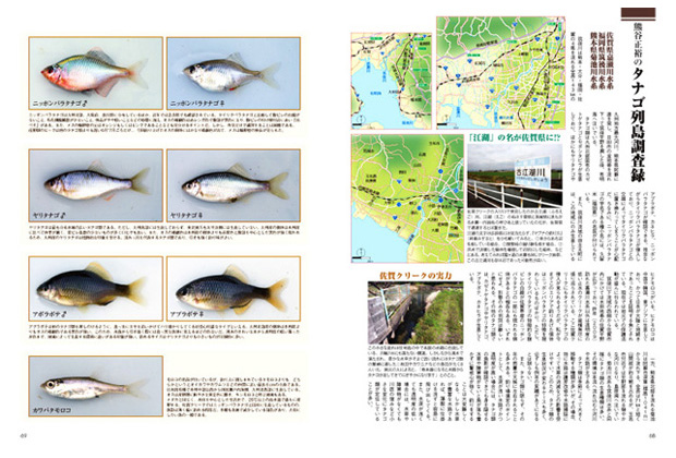 日本タナゴ釣り紀行