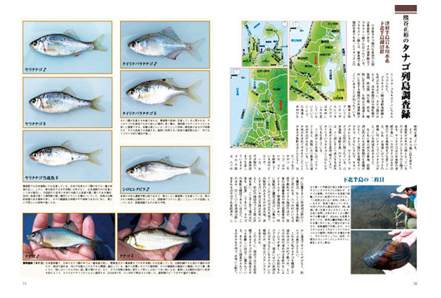 日本タナゴ釣り紀行 2
