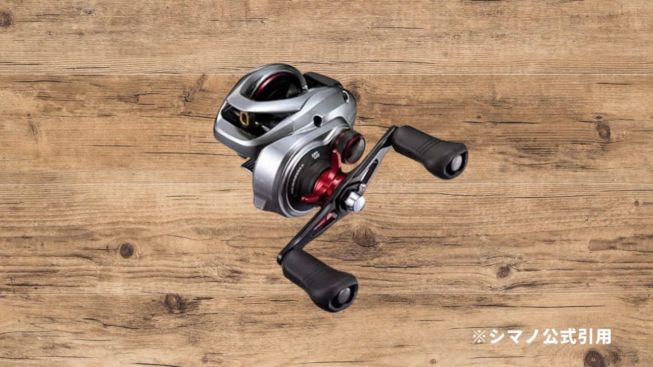 新製品】24スコーピオンMD 300徹底解説！ビッグベイト＆怪魚を制す