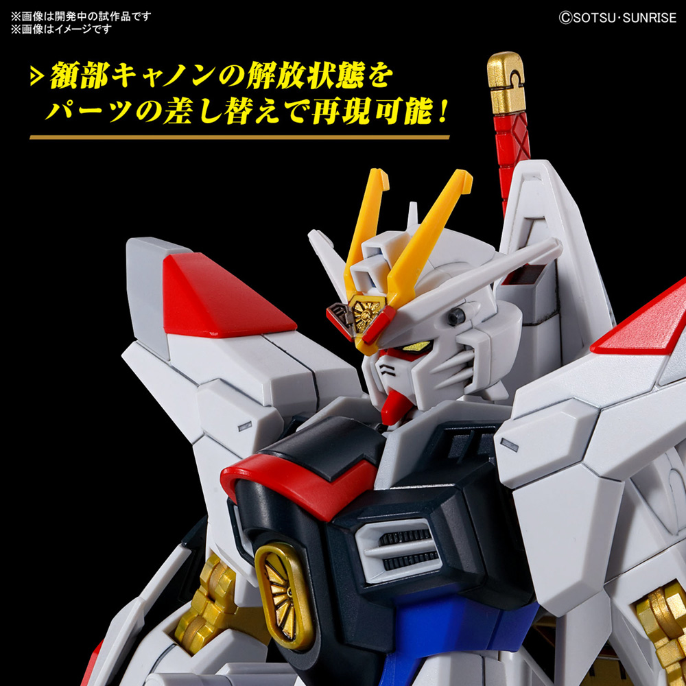 HG 1/144 マイティーストライクフリーダムガンダム【4573102663849