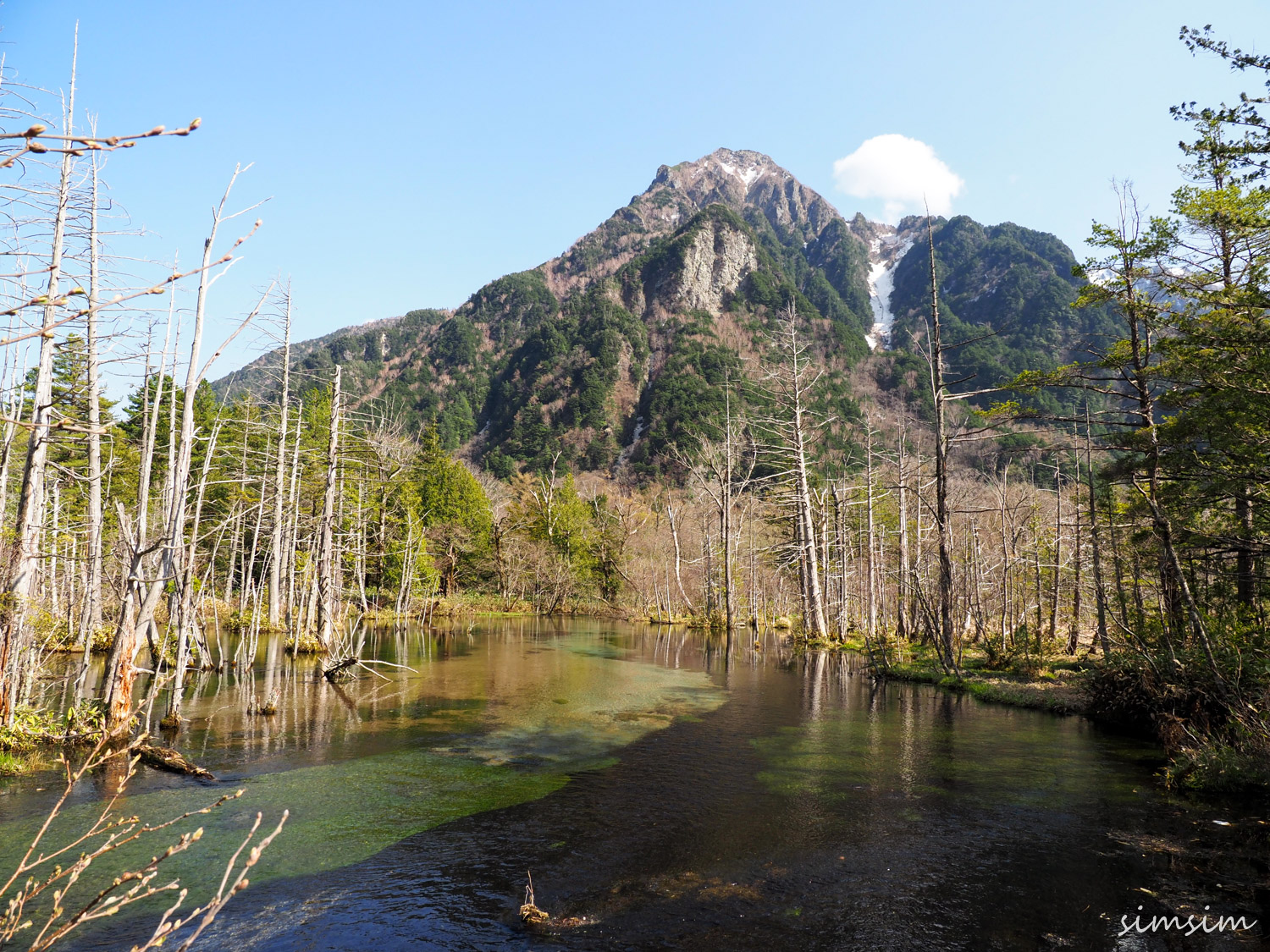 春の上高地（河童橋～徳澤園）をハイキング！右岸側コースを行くのが
