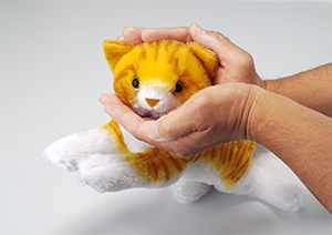 なでなでねこちゃんDX2 | TRENDMASTER