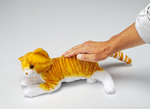 なでなでねこちゃんDX2 | TRENDMASTER