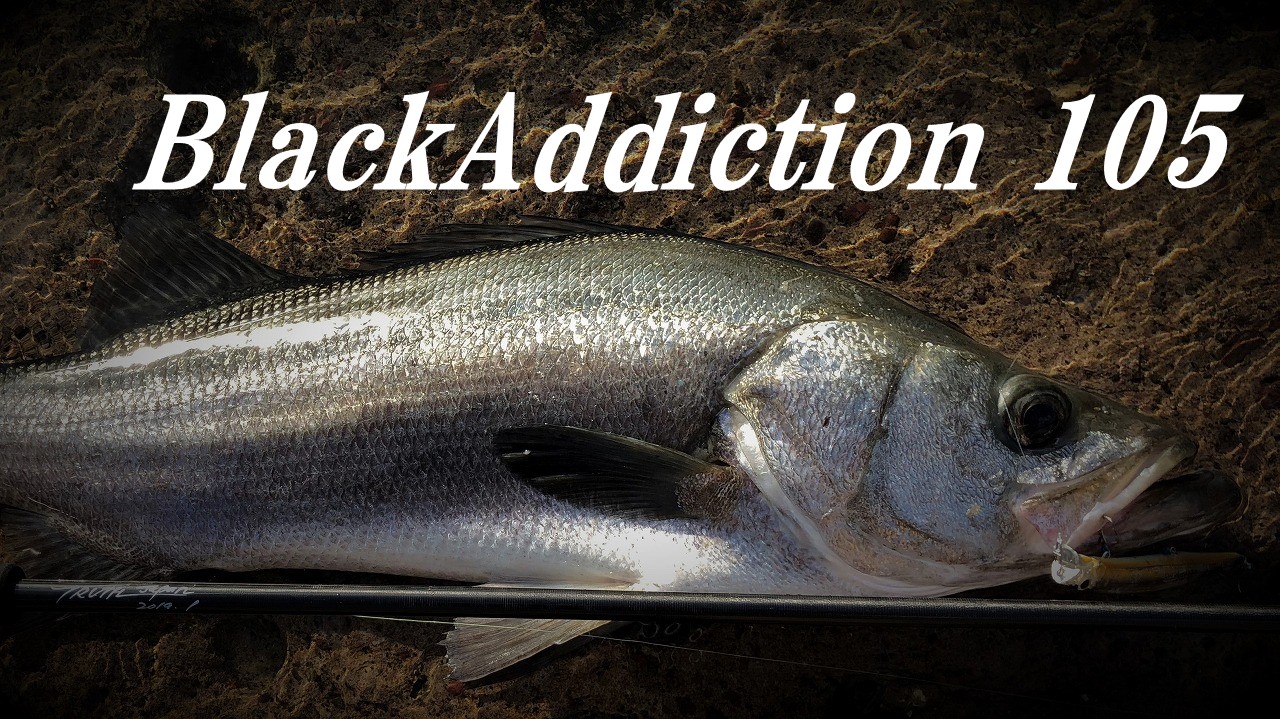 BlackAddiction 105 (HIRA Model) | TRUTH JAPAN